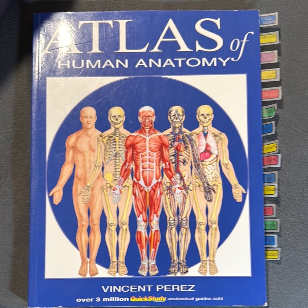 Atlas of Human Anatomy Book